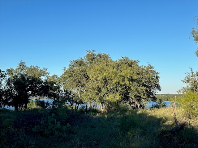 263 Feather Bay Dr, Brownwood TX, 76801 land for sale