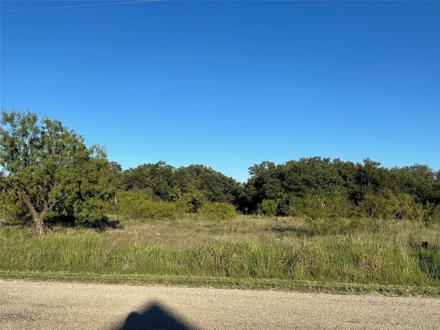 Listing photo 2 for 263 Feather Bay Dr, Brownwood TX 76801