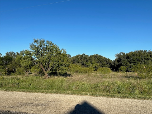 Listing photo 3 for 263 Feather Bay Dr, Brownwood TX 76801