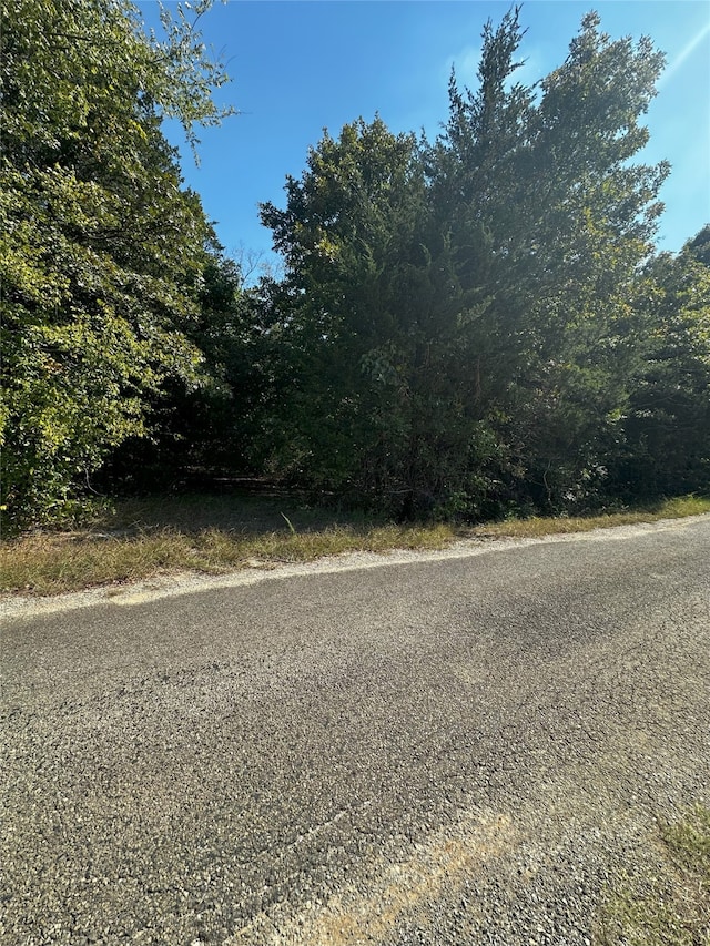 66 Shady Woods Ln, Denison TX, 75021 land for sale