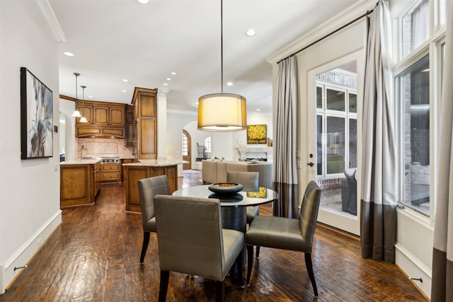 dining room with crown molding and dark hardwood / wood-style floors