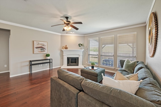 living room featuring ceiling fan, crown molding, and dark wood-type flooring