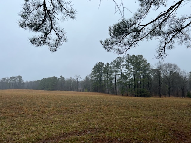 TBD County Road 3121, Clarksville TX, 75426 land for sale