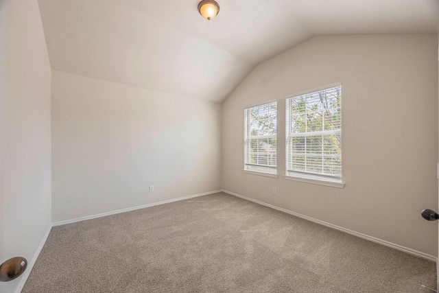 bonus room featuring baseboards, carpet, and lofted ceiling