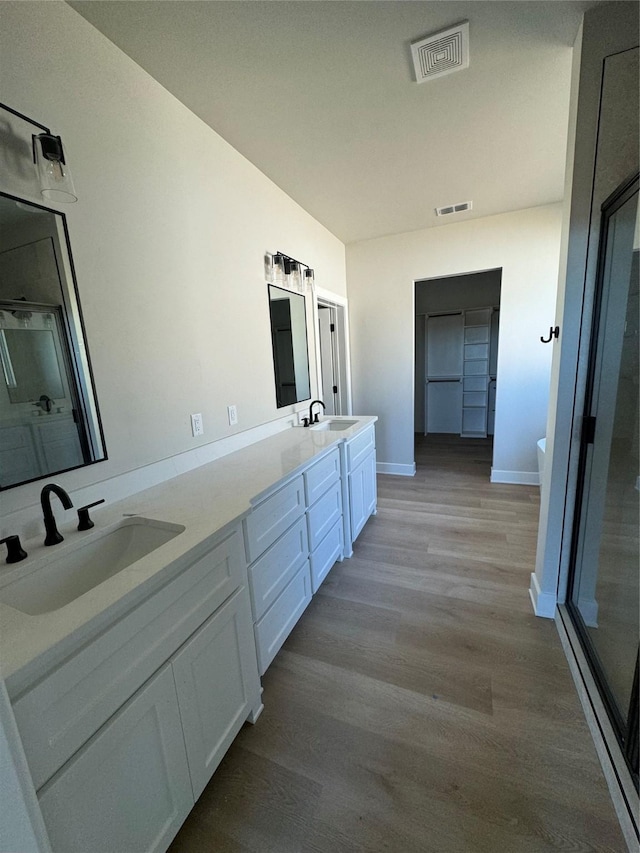 bathroom featuring hardwood / wood-style floors and vanity