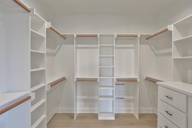 spacious closet with light wood-type flooring