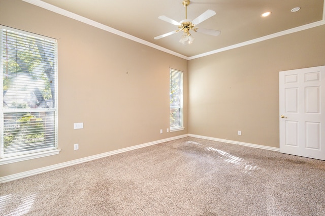 empty room featuring ceiling fan, crown molding, and carpet flooring