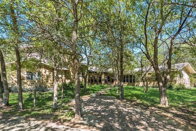 ranch-style house with a front lawn