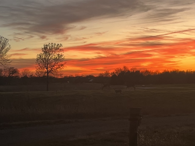 view of yard at dusk