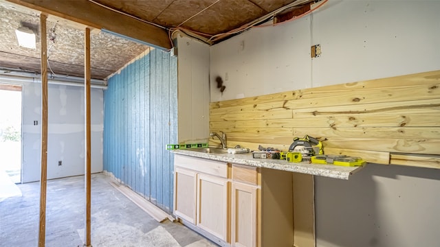 basement featuring sink