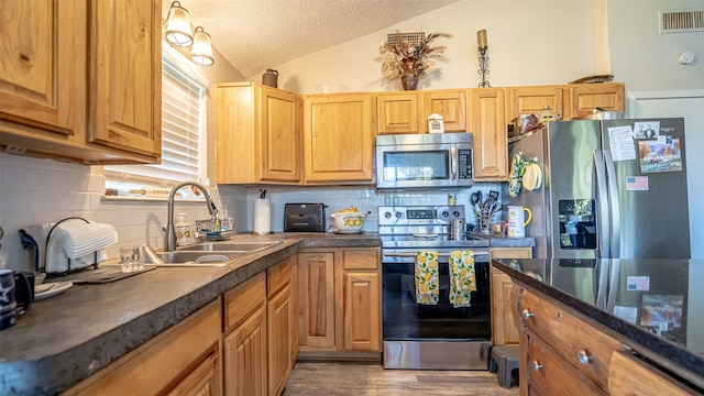 kitchen with stainless steel appliances, sink, vaulted ceiling, a textured ceiling, and dark hardwood / wood-style flooring