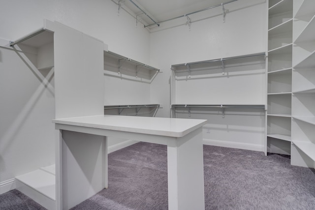 6709 Elderberry Way, Flower Mound, TX 76226 - spacious closet featuring carpet floors