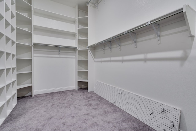 6709 Elderberry Way, Flower Mound, TX 76226 - walk in closet with carpet