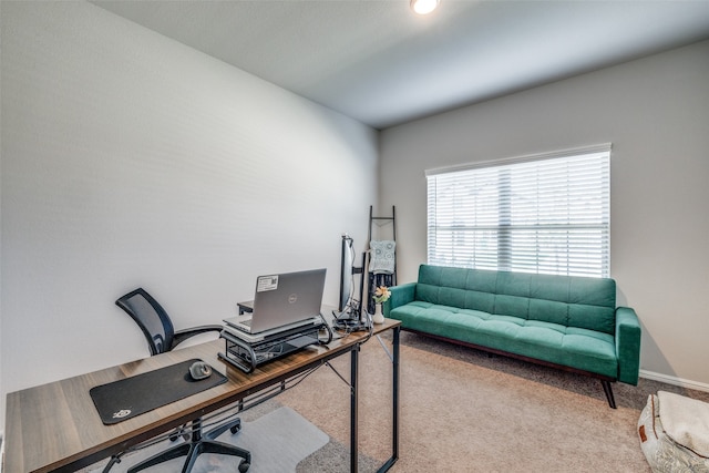 office featuring carpet flooring