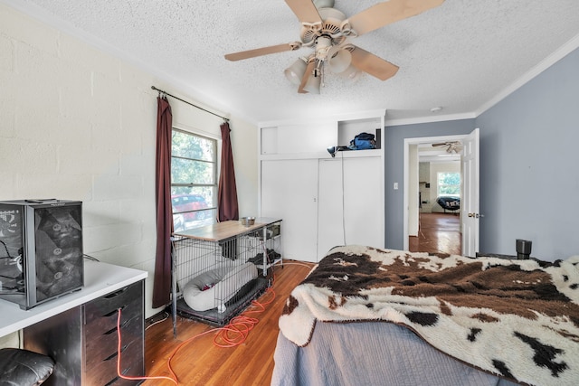 bedroom with multiple windows, ceiling fan, dark hardwood / wood-style flooring, and a textured ceiling