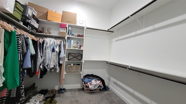 walk in closet with carpet flooring