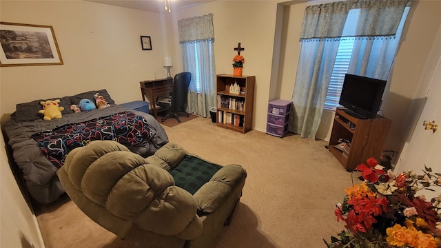 bedroom featuring light carpet and a wood stove