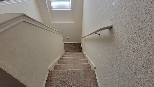 staircase with carpet floors