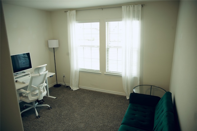 home office with dark carpet