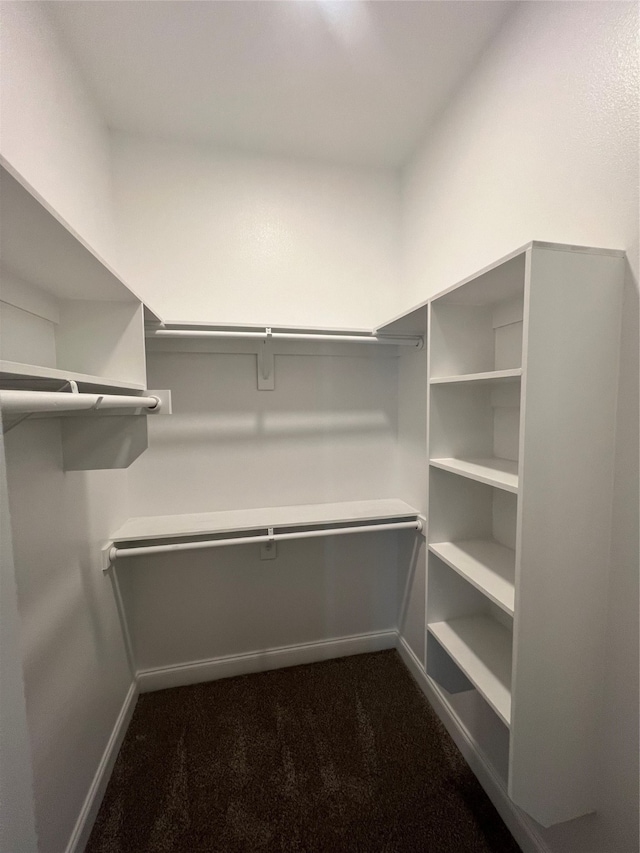 spacious closet with dark colored carpet