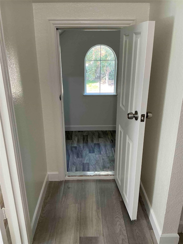 hall featuring dark wood-type flooring