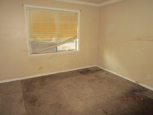 unfurnished room with carpet and crown molding