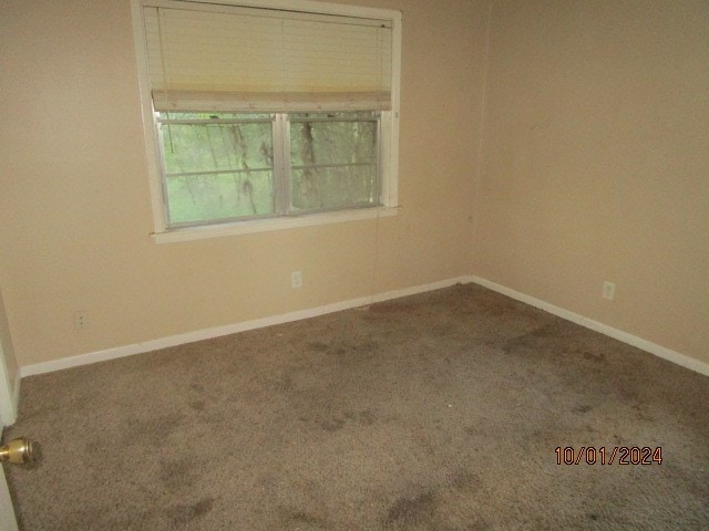 spare room featuring carpet flooring