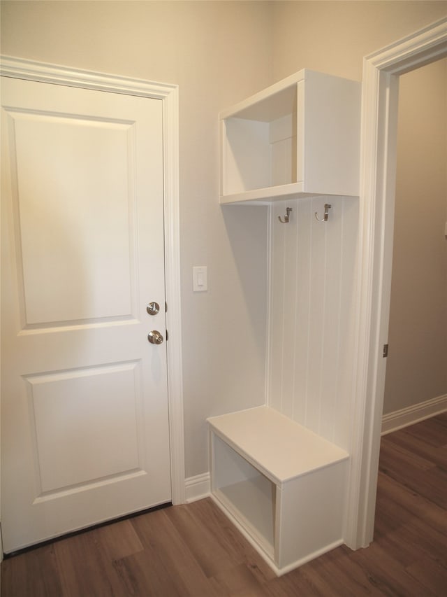 mudroom featuring dark wood-type flooring