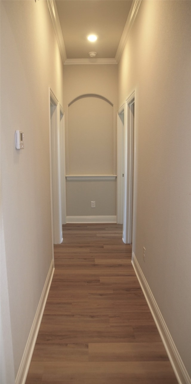 corridor with crown molding and dark hardwood / wood-style floors