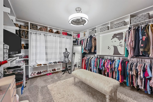 walk in closet featuring carpet floors