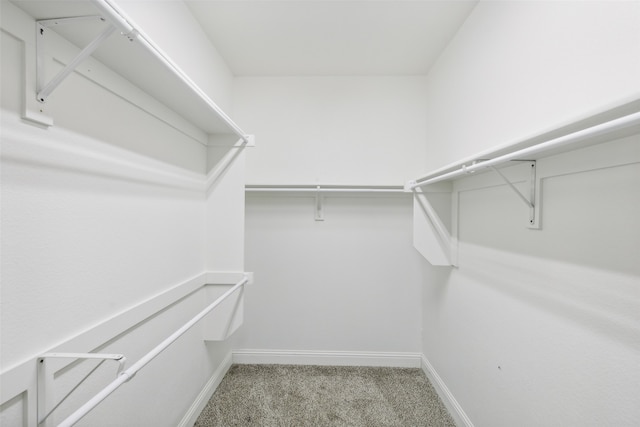 spacious closet featuring carpet floors