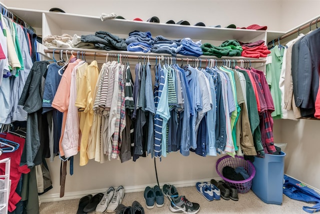 spacious closet featuring carpet