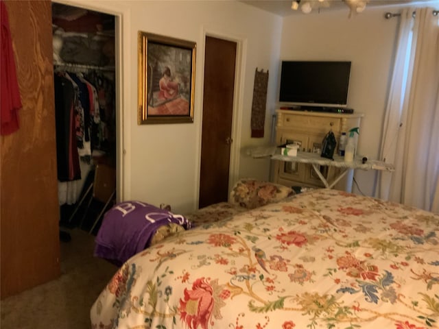 bedroom with carpet floors, a walk in closet, and a closet