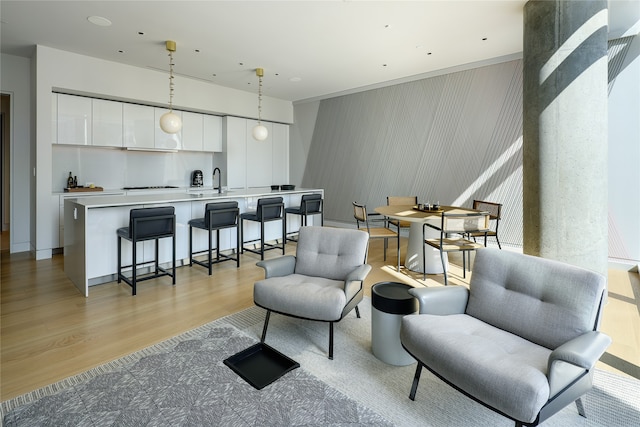 living room with light wood-type flooring and sink