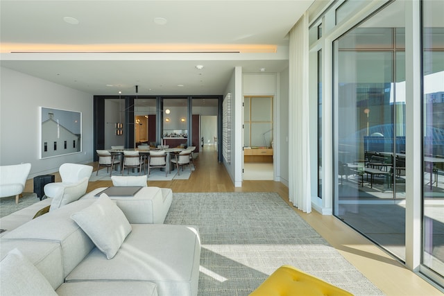 living room with a wall of windows and light hardwood / wood-style flooring