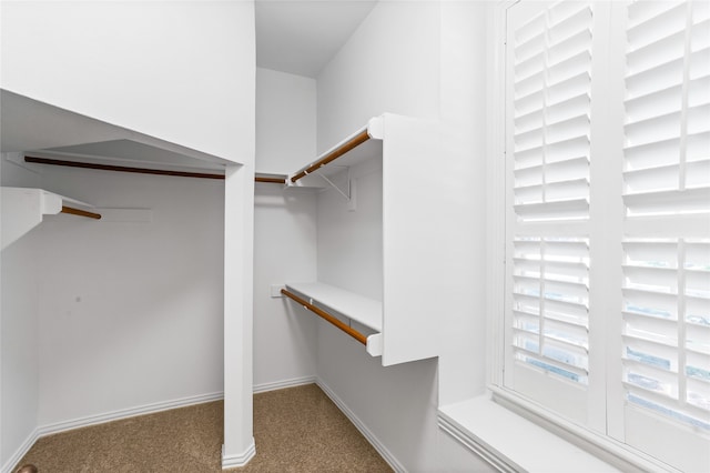 spacious closet with carpet