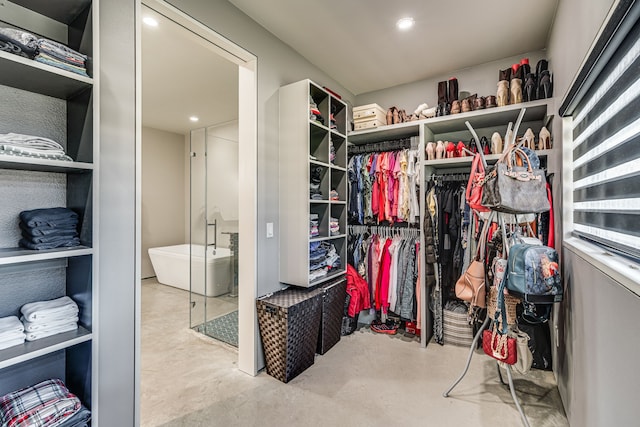 view of spacious closet