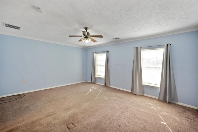 spacious closet featuring carpet flooring