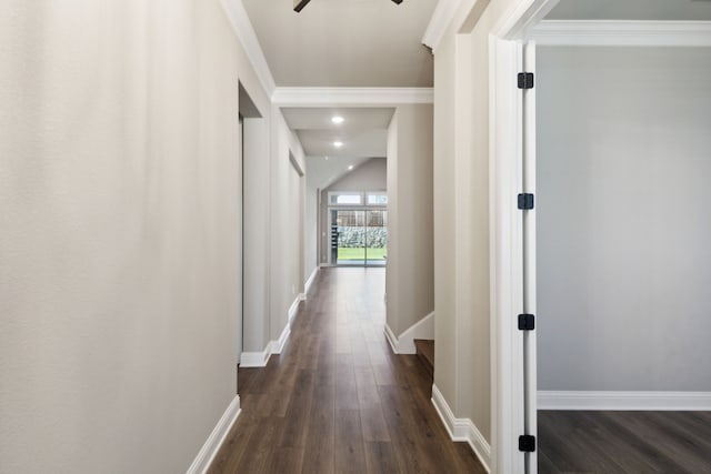 hallway featuring crown molding and dark wood-type flooring