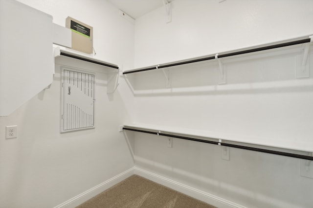 walk in closet featuring carpet floors