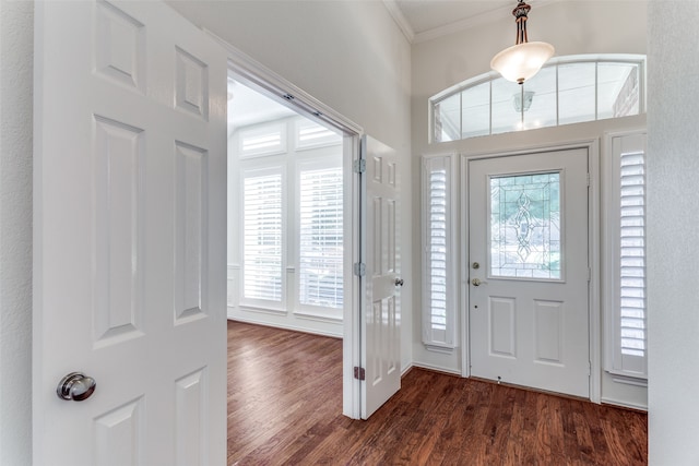 foyer featuring ornamental molding, a healthy amount of sunlight, and dark hardwood / wood-style flooring