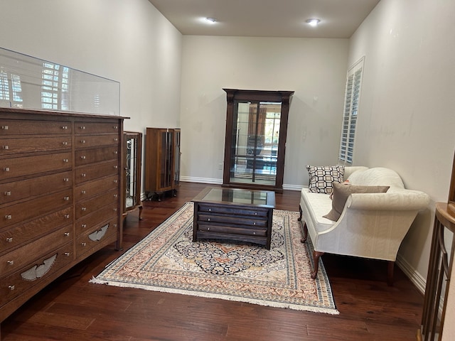 living area with dark wood-type flooring