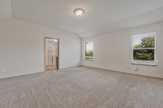 carpeted empty room with lofted ceiling and a healthy amount of sunlight