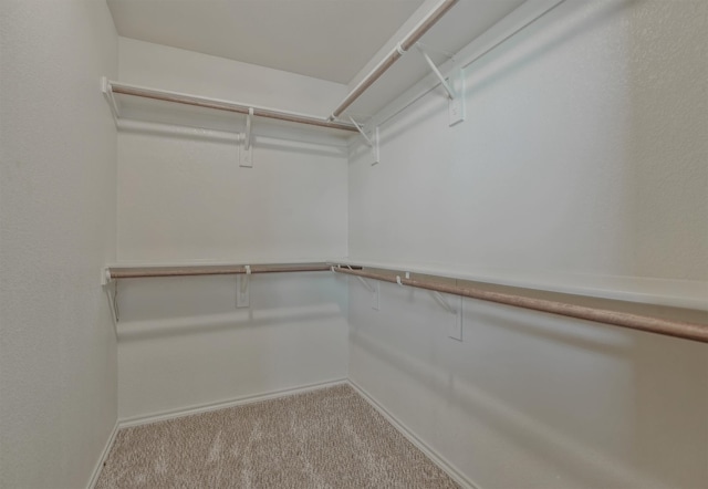 spacious closet with light colored carpet