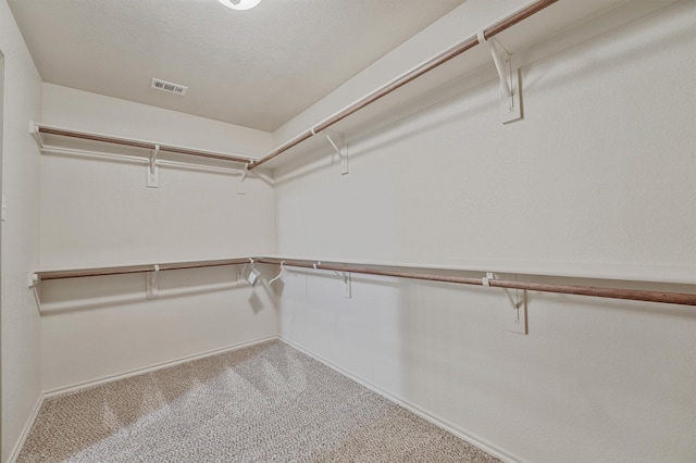 spacious closet with carpet