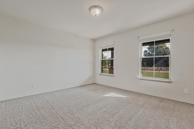 carpeted spare room with a wealth of natural light