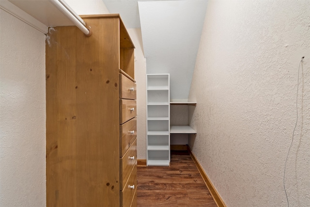 walk in closet featuring dark wood-type flooring