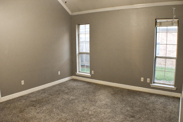 spare room featuring lofted ceiling, carpet floors, and plenty of natural light