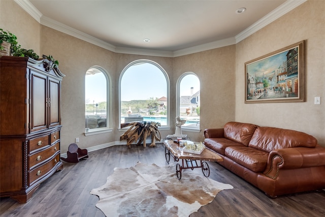 living room featuring ornamental molding and dark wood-type flooring