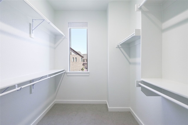 walk in closet with carpet flooring